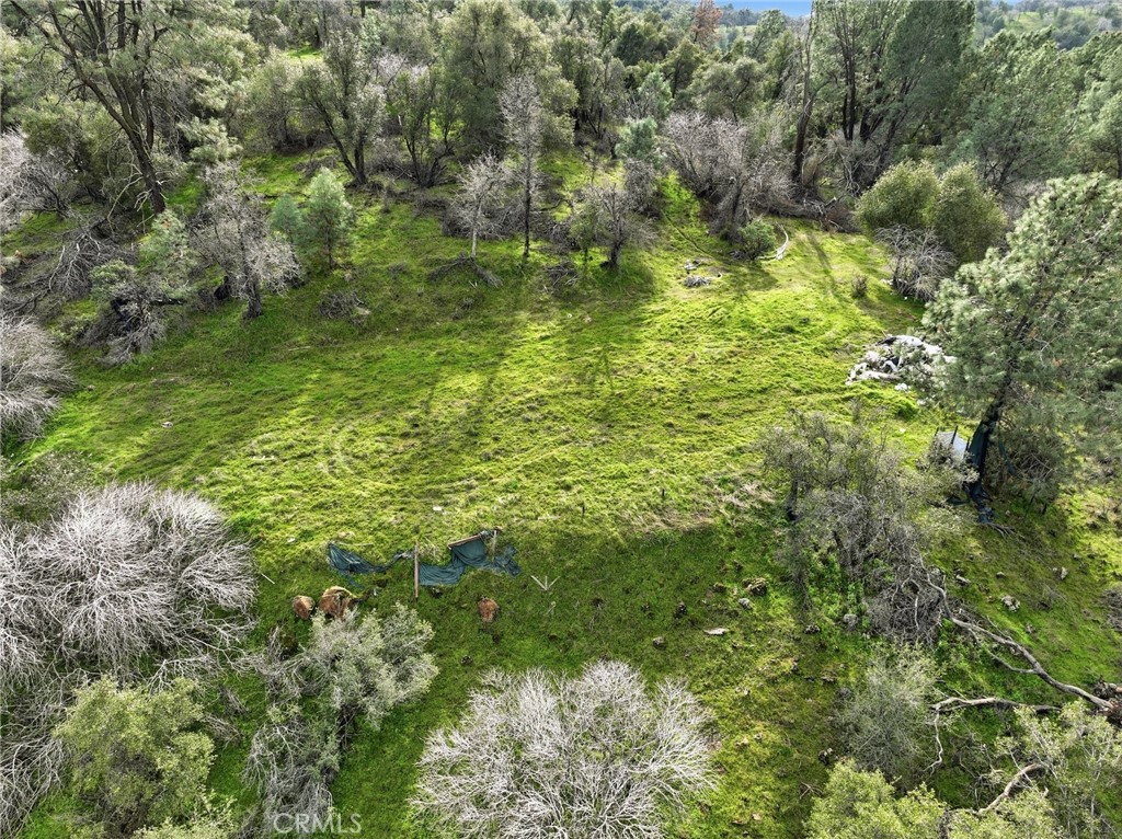 0 Lookout Mountain Road Mariposa, CA 95338 - Photo 12 of 25 a view of a garden