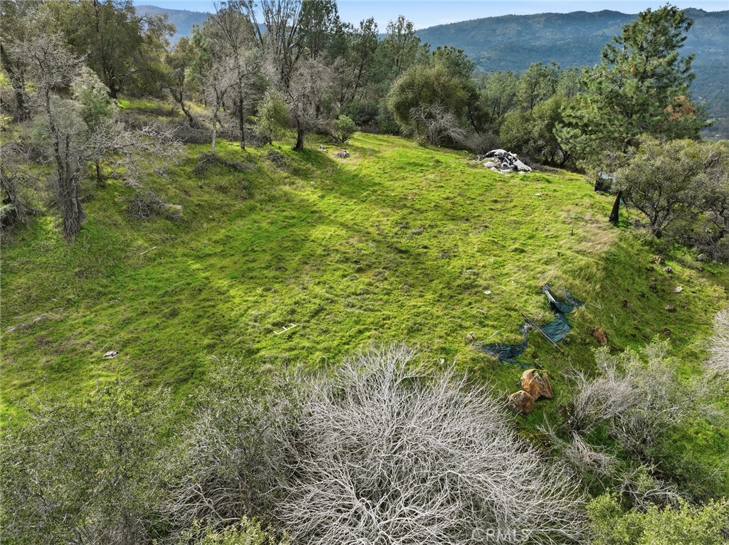 0 Lookout Mountain Road Mariposa, CA 95338 - Photo 13 of 25 a big yard with lots of green space and bushes