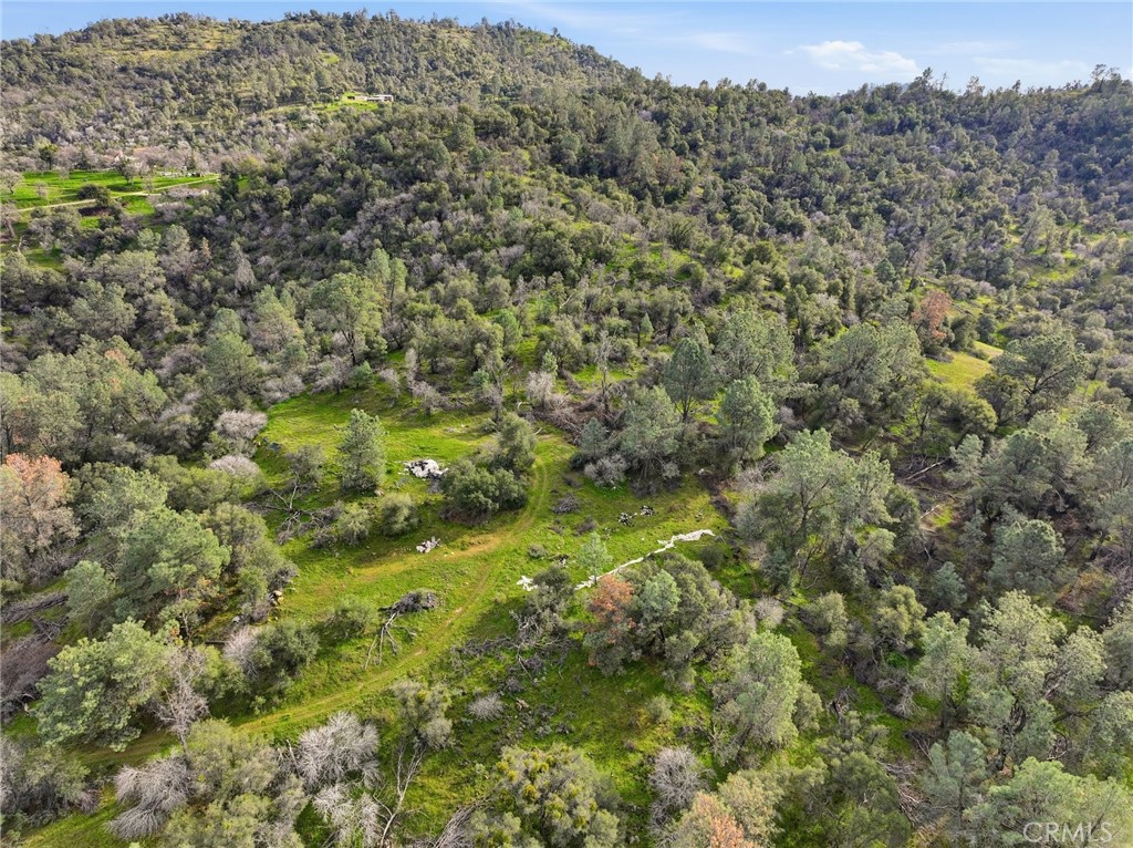0 Lookout Mountain Road Mariposa, CA 95338 - Photo 14 of 25 a view of a big yard with green space