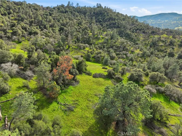 a view of a lush green forest with trees and some houses