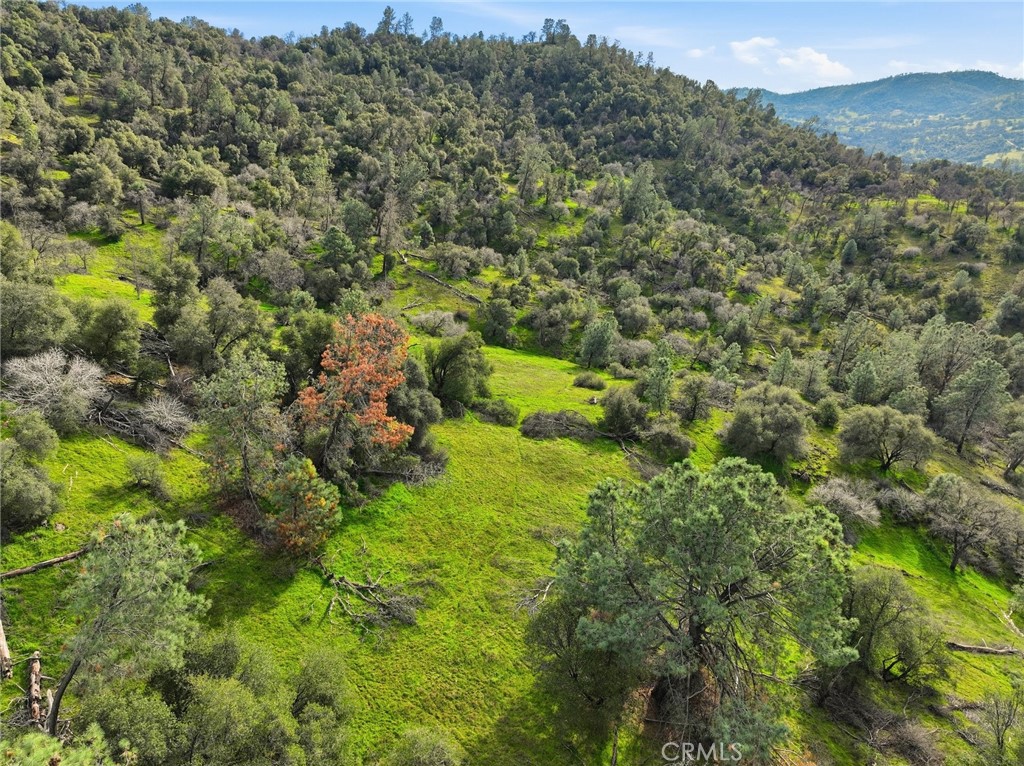 0 Lookout Mountain Road Mariposa, CA 95338 - Photo 15 of 25 a view of a lush green forest with trees and some houses