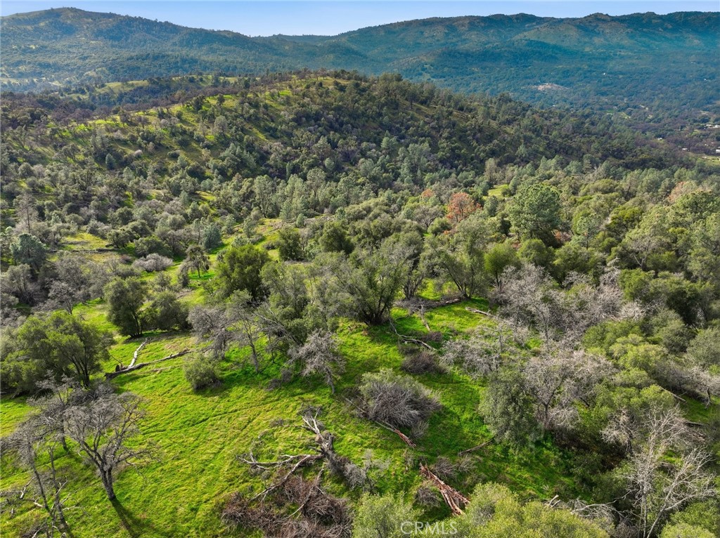 0 Lookout Mountain Road Mariposa, CA 95338 - Photo 18 of 25 a view of a lush green forest with lush green forest