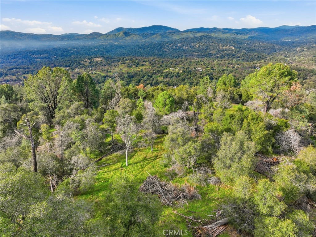 0 Lookout Mountain Road Mariposa, CA 95338 - Photo 19 of 25 a view of a lush green hillside and a houses