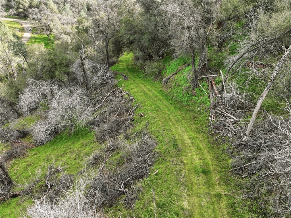 0 Lookout Mountain Road Mariposa, CA 95338 - Photo 21 of 25 a view of a garden