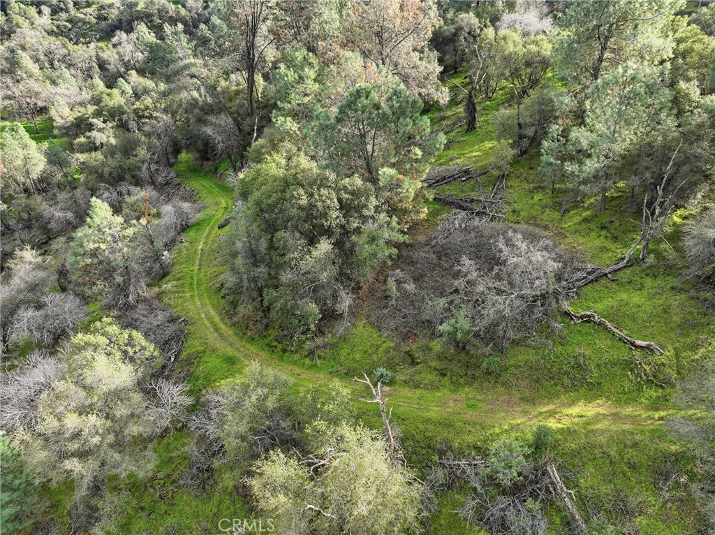 0 Lookout Mountain Road Mariposa, CA 95338 - Photo 22 of 25 a view of a forest