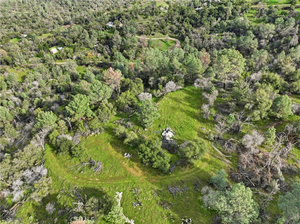 0 Lookout Mountain Road Mariposa, CA 95338 - Photo 4 of 25 a view of a bunch of trees