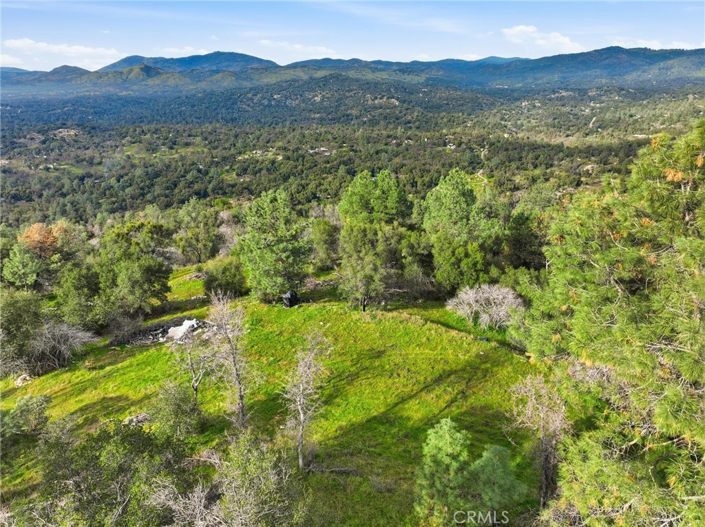 0 Lookout Mountain Road Mariposa, CA 95338 - Photo 6 of 25 a view of an lush green mountain