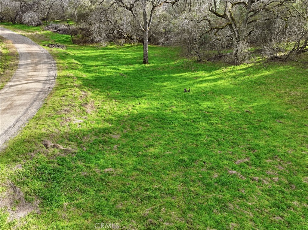 0 Lookout Mountain Road Mariposa, CA 95338 - Photo 7 of 25 a view of a backyard with large trees