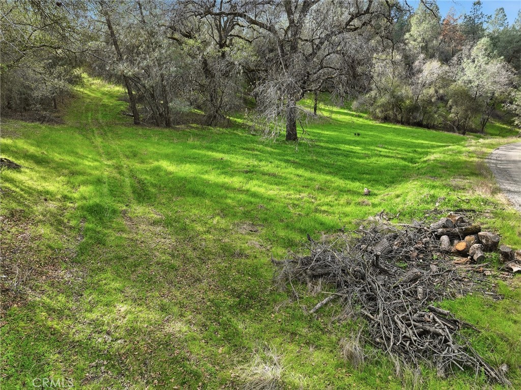0 Lookout Mountain Road Mariposa, CA 95338 - Photo 8 of 25 a front view of a house with a yard