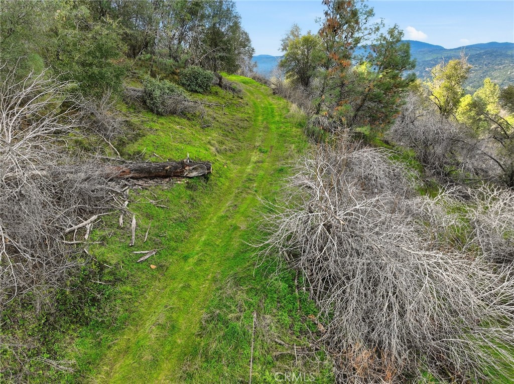 0 Lookout Mountain Road Mariposa, CA 95338 - Photo 9 of 25 a backyard of a house with lots of green space and trees all around