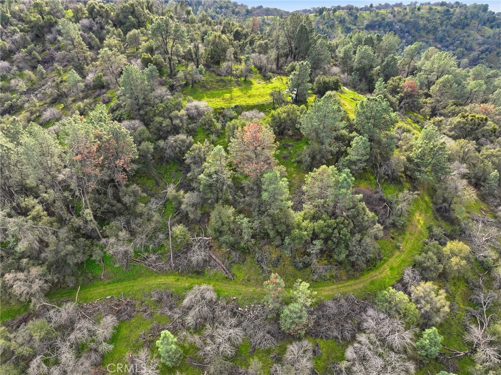 0 Lookout Mountain Road Mariposa, CA 95338 - Photo 10 of 25 a view of a garden with large trees