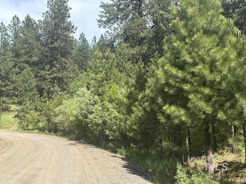L16-b1 Lantern Way Cascade, ID 83611 - Photo 6 of 32