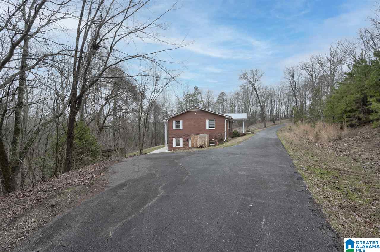 896 Cedar Cliff Road Springville, AL 35146 - Photo 14 of 45