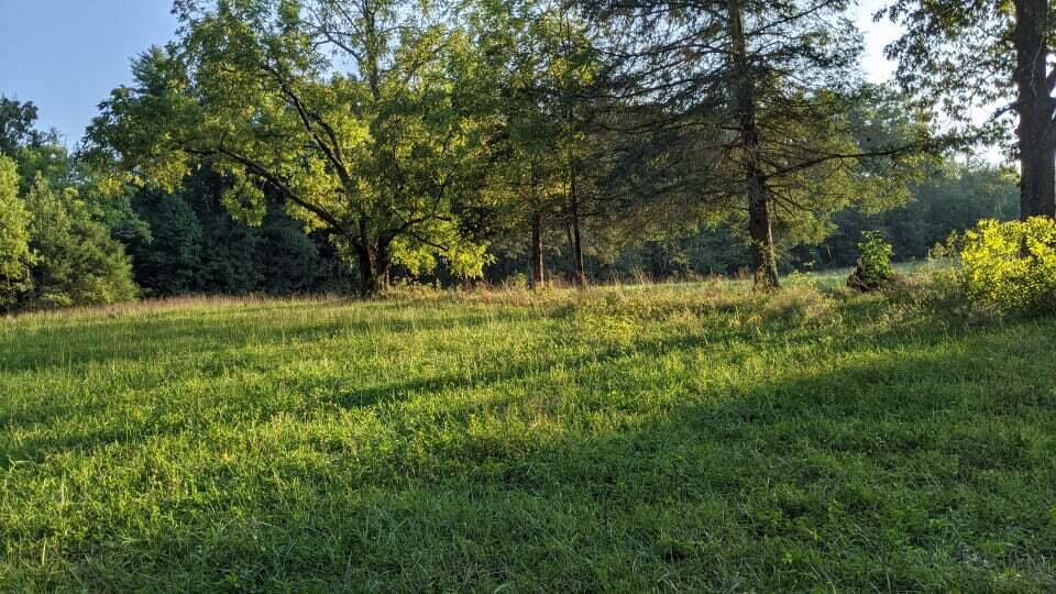 Leo Norris Road Jamestown, TN 38556 - Photo 8 of 33 241829532_256436126336499_53916463871413