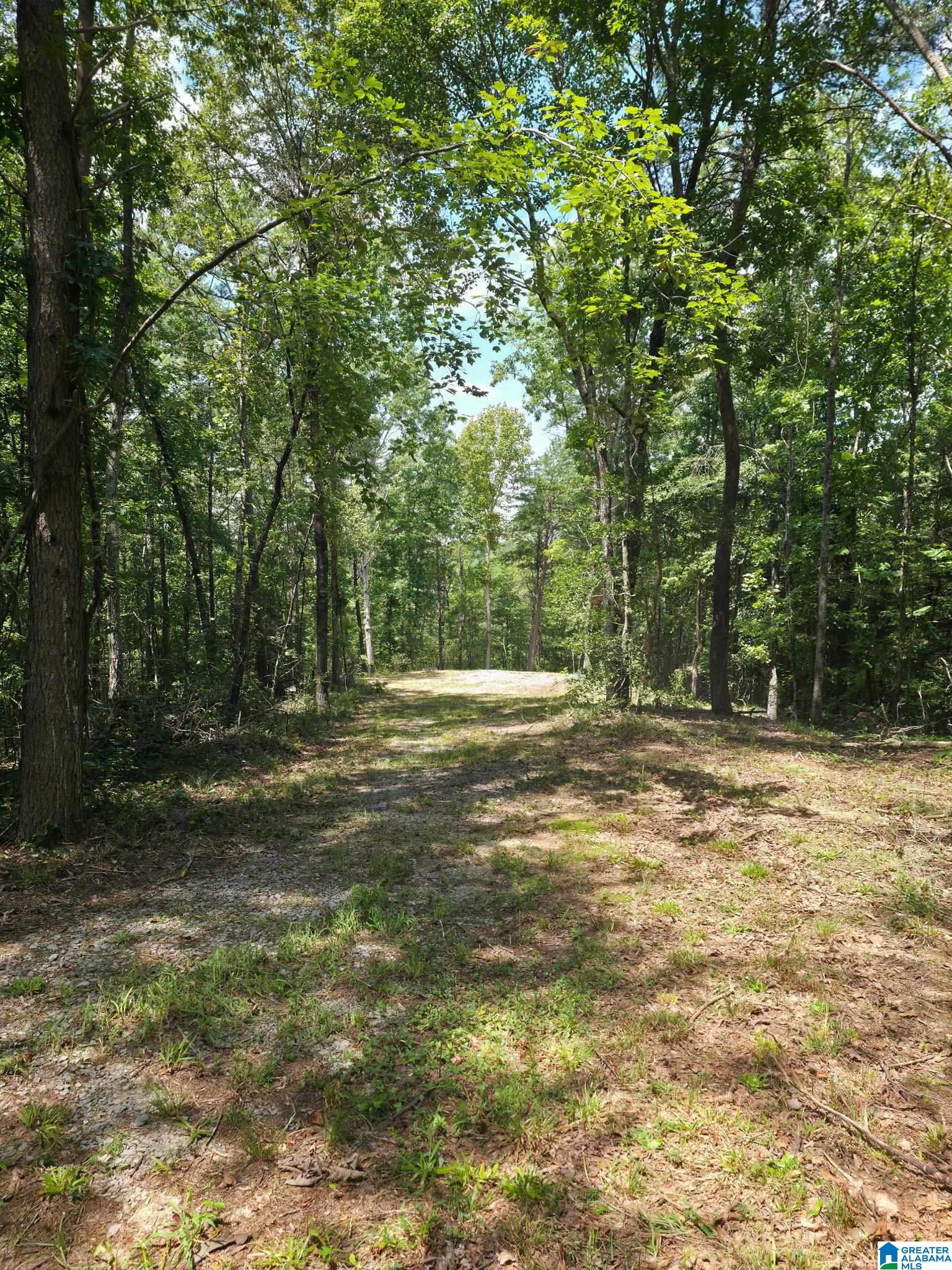 2 County Road 2, Unit 50 / ACRES Double Springs, AL 35553 - Photo 8 of 79