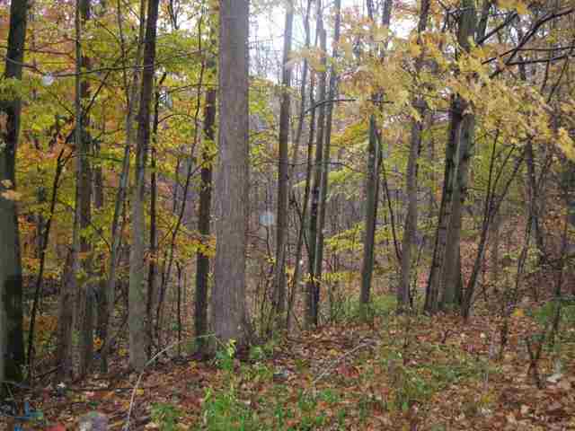 3805 Cribbins Road Avoca, MI 48006 - Photo 25 of 25 31123955-24.JPG