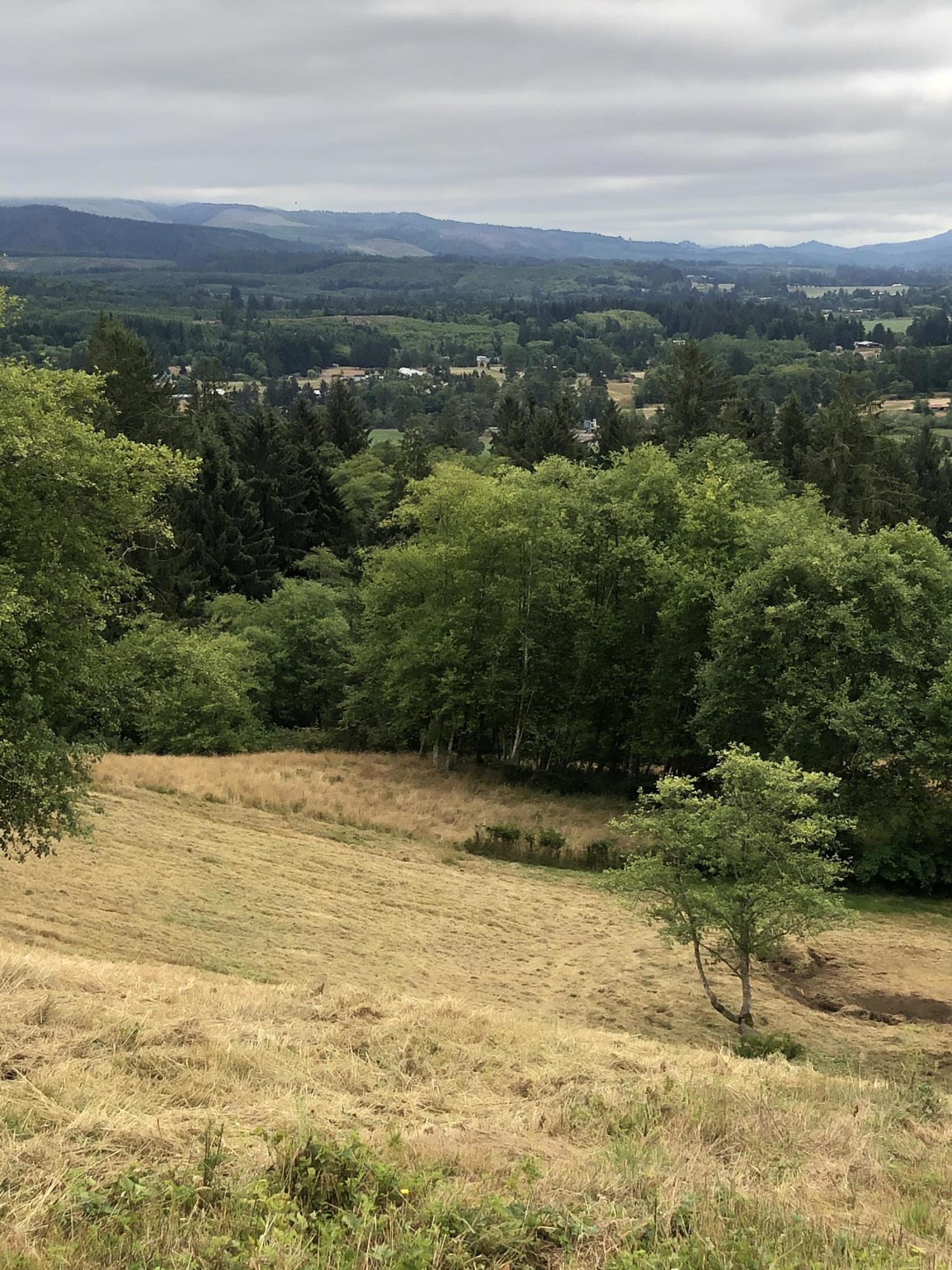 Lot 30 Skyview Road Tillamook, OR 97141 - Photo 15 of 15 IMG_9059