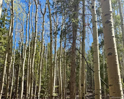 $900,000 | 0 Sinton Road, Evergreen, CO 80439
