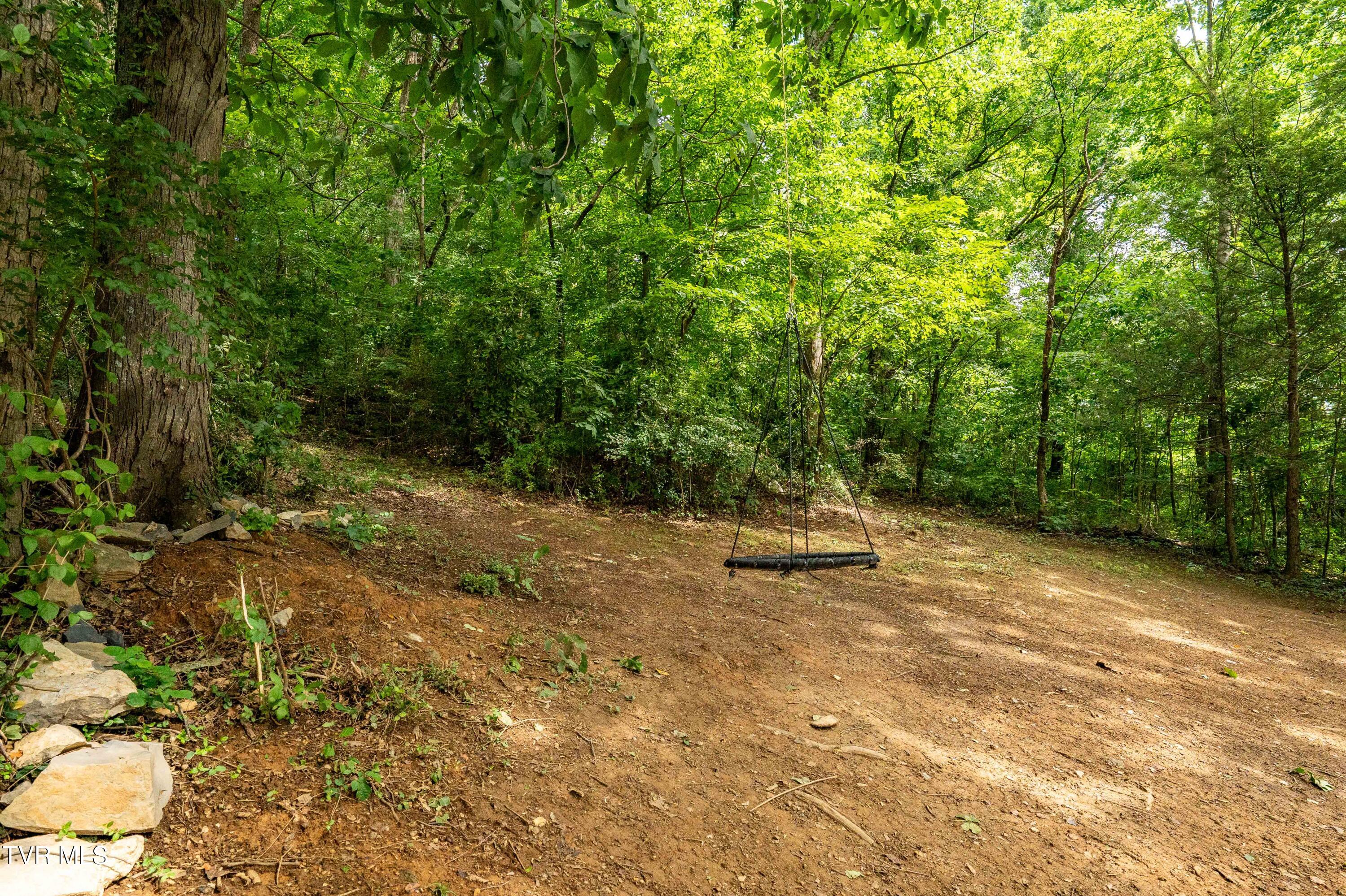 1113 Berry Road Elizabethton, TN 37643 - Photo 75 of 88 1113 Berry Rd (43 of 89)
