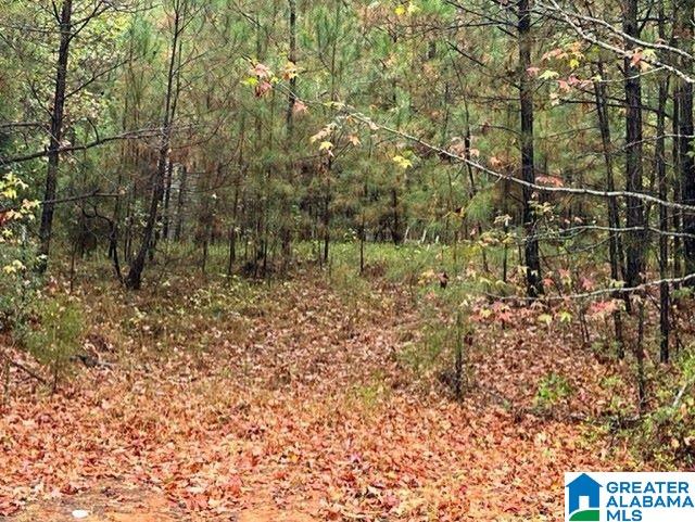 651 Shady Grove Road, Unit ACREAGE Randolph, AL 36792 - Photo 1 of 3