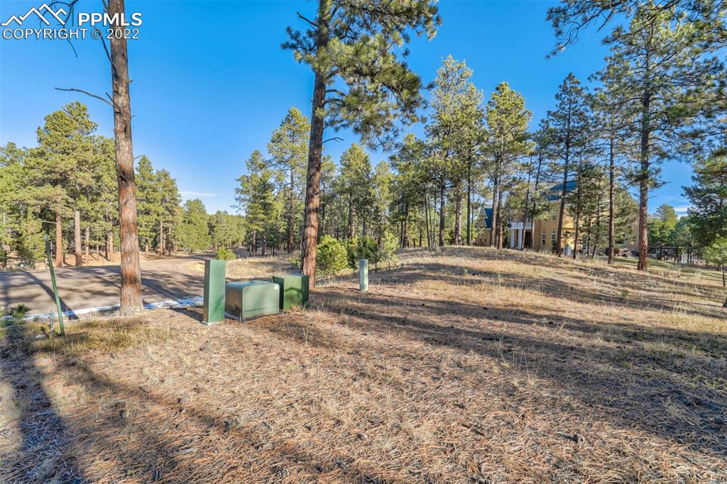 17501 Abert Ridge View Colorado Springs, CO 80908 - Photo 1 of 45 Gallery Image 1