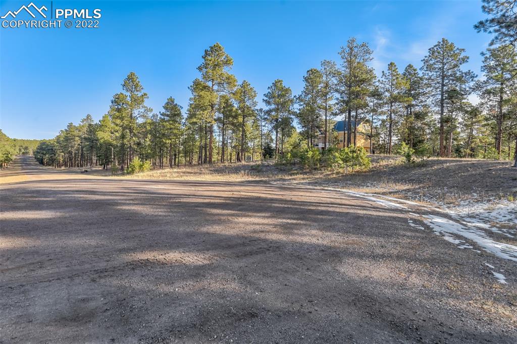 17501 Abert Ridge View Colorado Springs, CO 80908 - Photo 13 of 45 Gallery Image 13