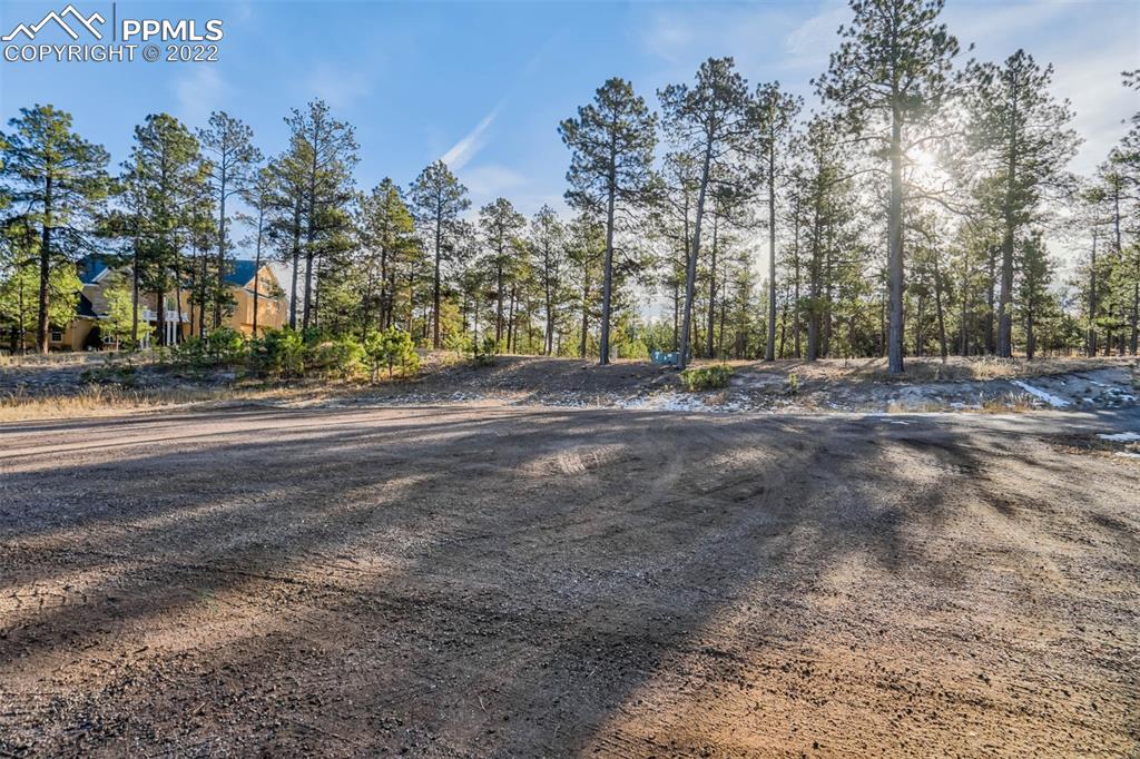 17501 Abert Ridge View Colorado Springs, CO 80908 - Photo 15 of 45 Gallery Image 15