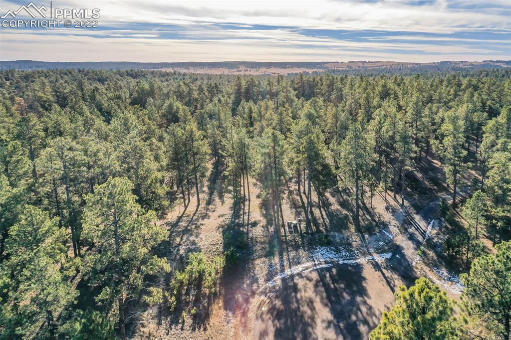 17501 Abert Ridge View Colorado Springs, CO 80908 - Photo 16 of 45 Gallery Image 16
