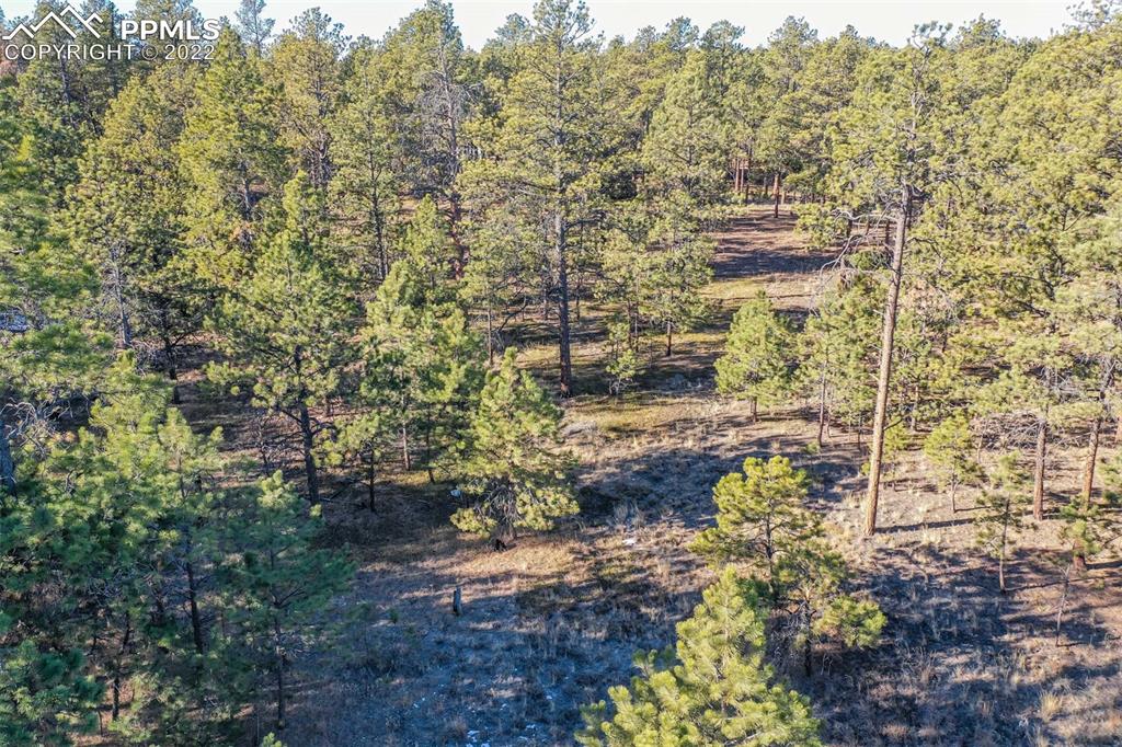 17501 Abert Ridge View Colorado Springs, CO 80908 - Photo 18 of 45 Gallery Image 18