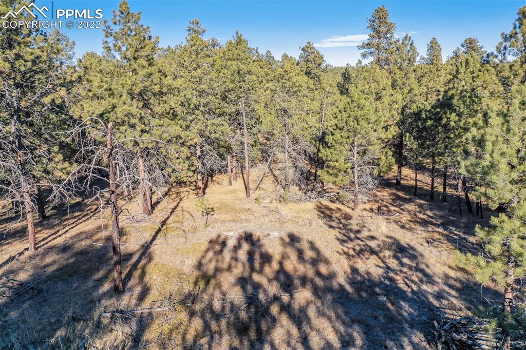 17501 Abert Ridge View Colorado Springs, CO 80908 - Photo 19 of 45 Gallery Image 19
