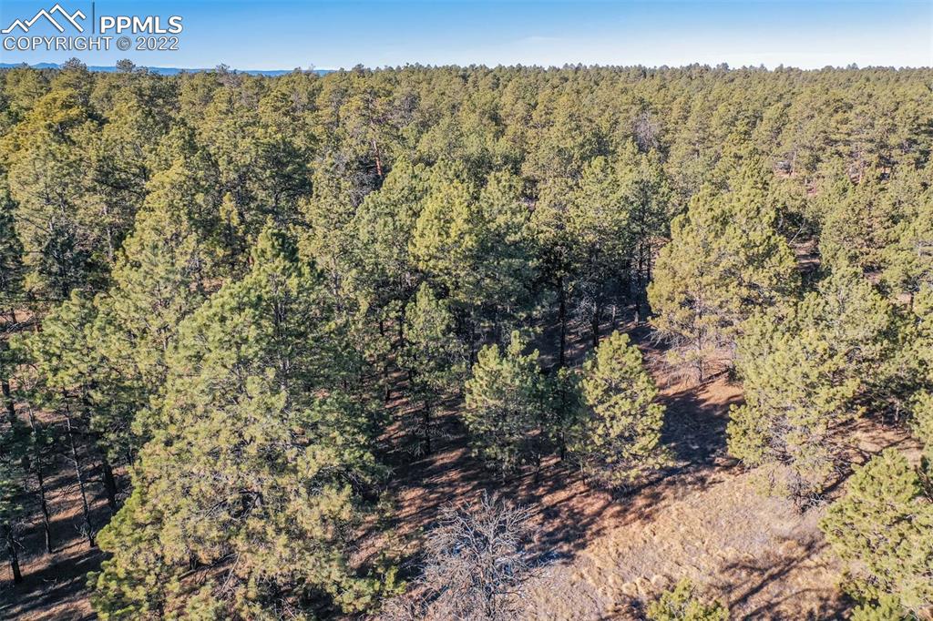 17501 Abert Ridge View Colorado Springs, CO 80908 - Photo 20 of 45 Gallery Image 20