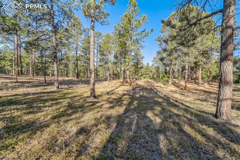 17501 Abert Ridge View Colorado Springs, CO 80908 - Photo 2 of 45 Gallery Image 2