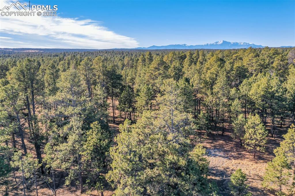 17501 Abert Ridge View Colorado Springs, CO 80908 - Photo 21 of 45 Gallery Image 21