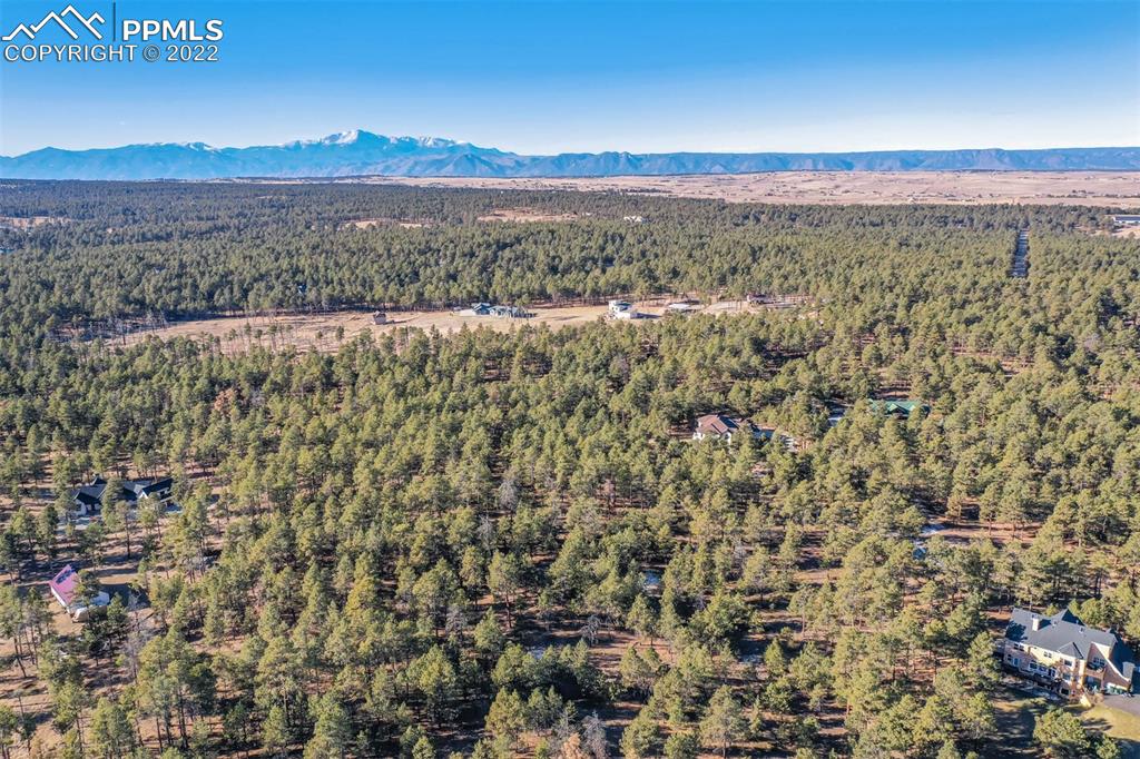 17501 Abert Ridge View Colorado Springs, CO 80908 - Photo 22 of 45 Gallery Image 22