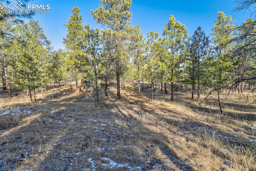 17501 Abert Ridge View Colorado Springs, CO 80908 - Photo 3 of 45 Gallery Image 3