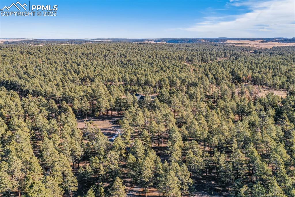 17501 Abert Ridge View Colorado Springs, CO 80908 - Photo 34 of 45 Gallery Image 34