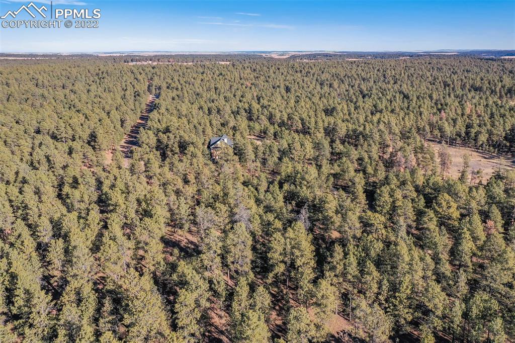 17501 Abert Ridge View Colorado Springs, CO 80908 - Photo 35 of 45 Gallery Image 35