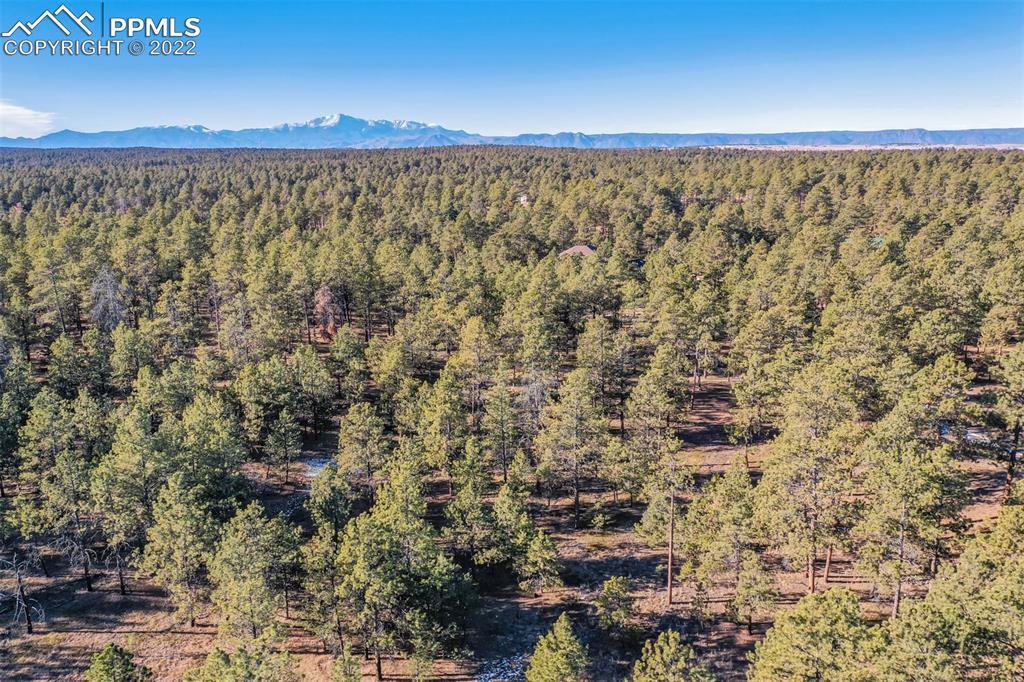 17501 Abert Ridge View Colorado Springs, CO 80908 - Photo 39 of 45 Gallery Image 39