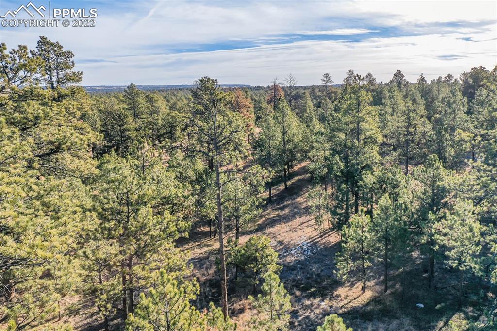 17501 Abert Ridge View Colorado Springs, CO 80908 - Photo 40 of 45 Gallery Image 40