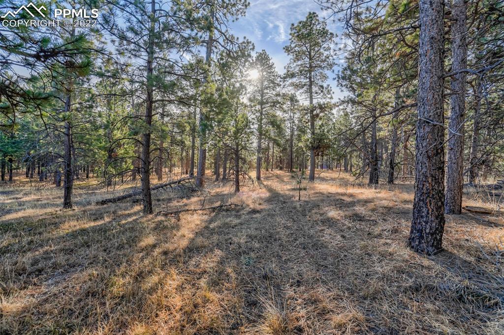 17501 Abert Ridge View Colorado Springs, CO 80908 - Photo 4 of 45 Gallery Image 4
