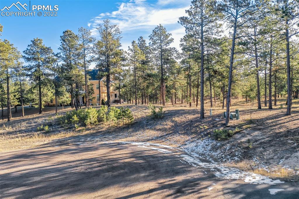 17501 Abert Ridge View Colorado Springs, CO 80908 - Photo 42 of 45 Gallery Image 42