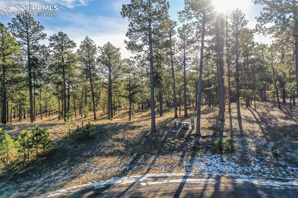 17501 Abert Ridge View Colorado Springs, CO 80908 - Photo 43 of 45 Gallery Image 43