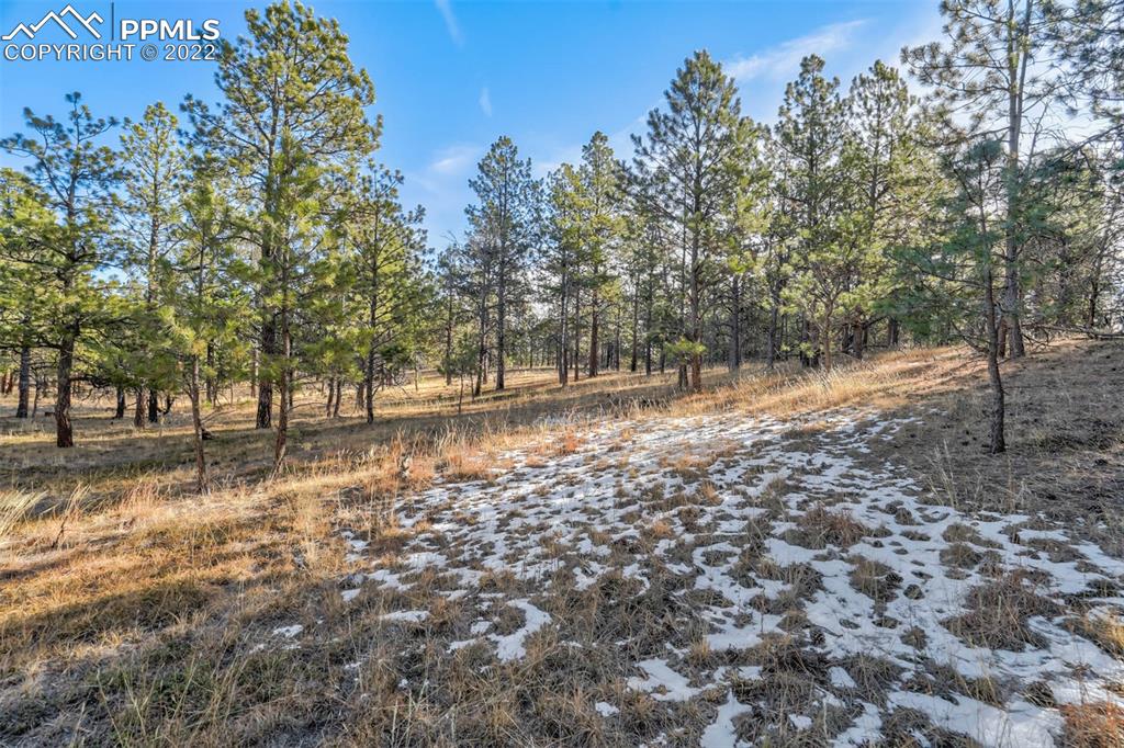 17501 Abert Ridge View Colorado Springs, CO 80908 - Photo 5 of 45 Gallery Image 5