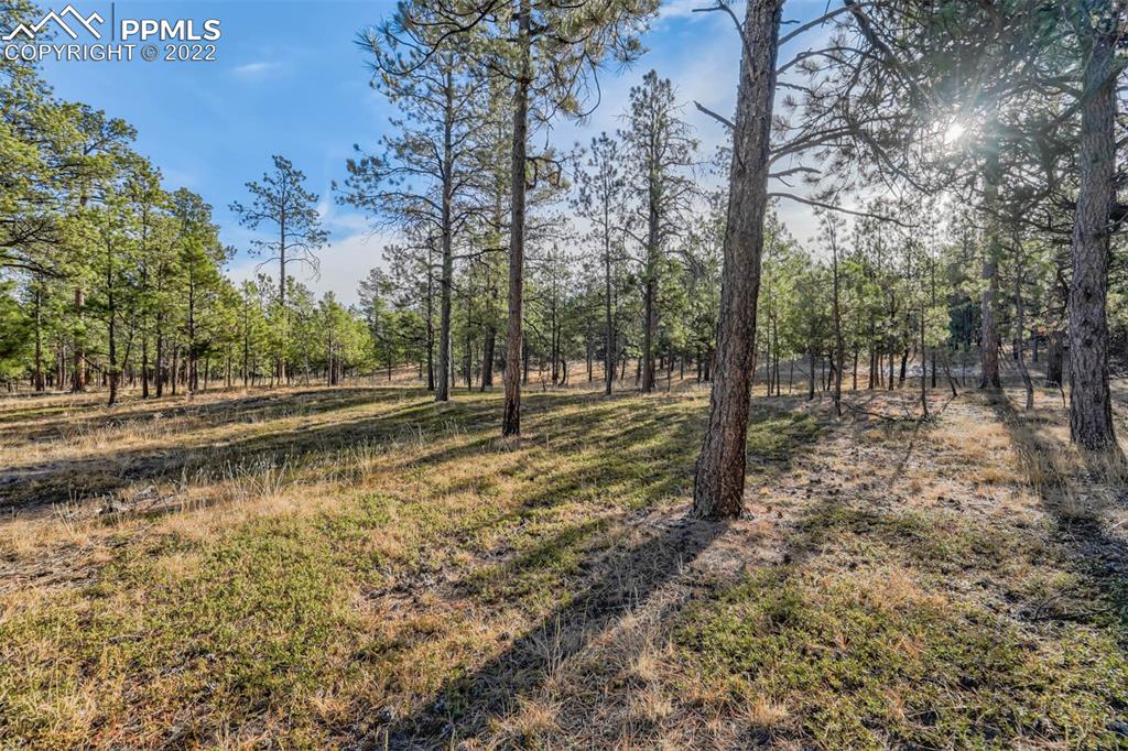 17501 Abert Ridge View Colorado Springs, CO 80908 - Photo 7 of 45 Gallery Image 7