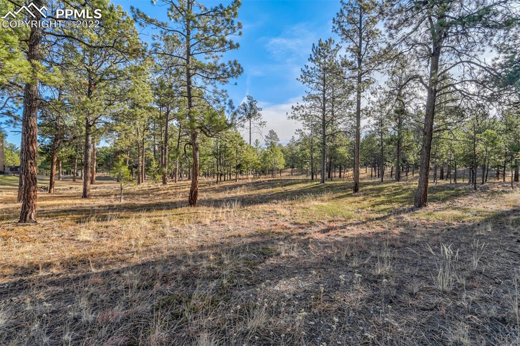 17501 Abert Ridge View Colorado Springs, CO 80908 - Photo 8 of 45 Gallery Image 8