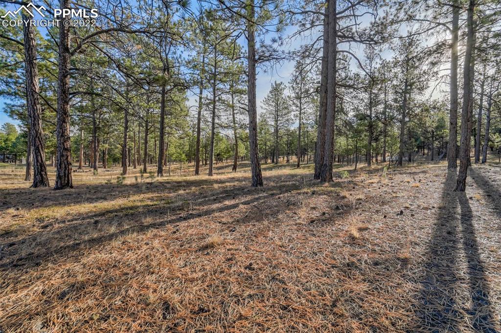 17501 Abert Ridge View Colorado Springs, CO 80908 - Photo 9 of 45 Gallery Image 9