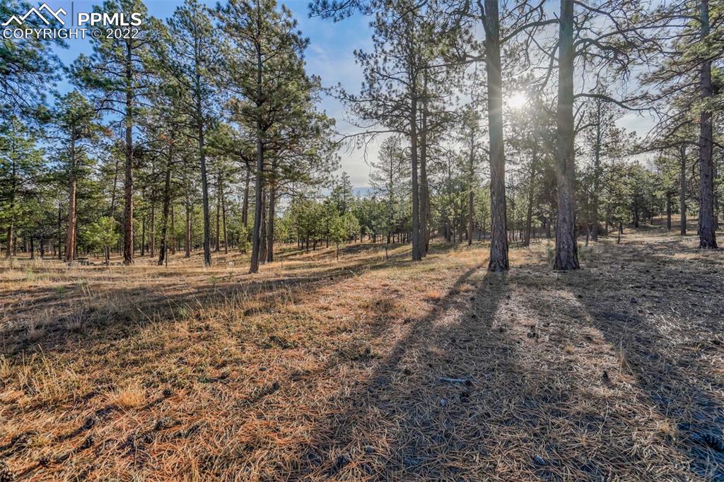 17501 Abert Ridge View Colorado Springs, CO 80908 - Photo 10 of 45 Gallery Image 10