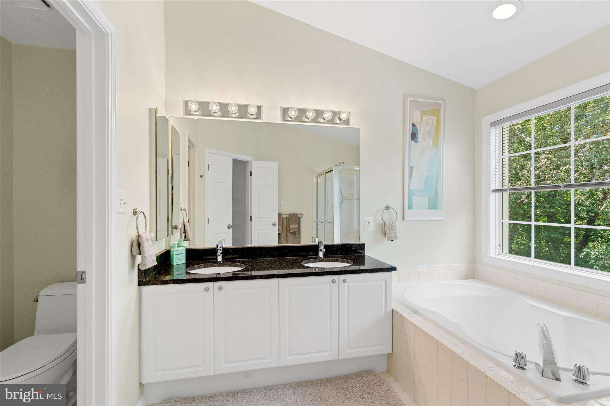 8512 Bells Ridge Terrace Potomac, MD 20854 - Photo 23 of 45 a bathroom with a granite countertop tub a sink and a window