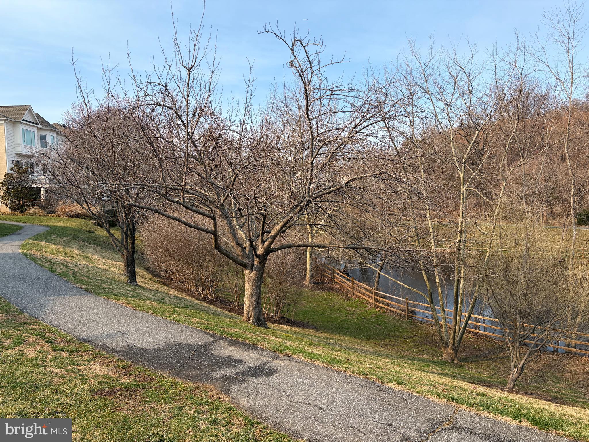 8512 Bells Ridge Terrace Potomac, MD 20854 - Photo 37 of 45 a view of backyard space