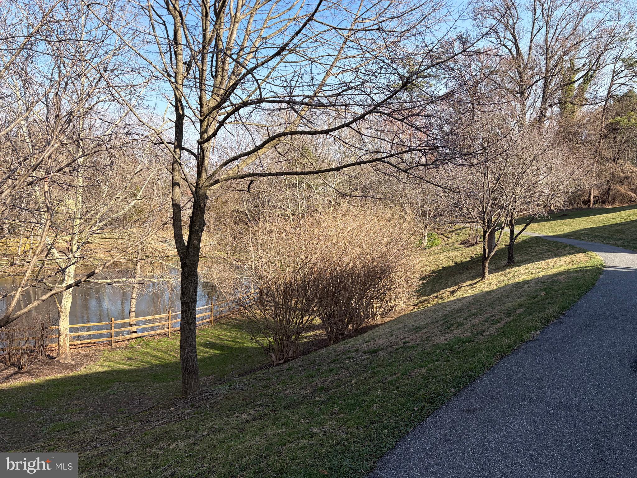 8512 Bells Ridge Terrace Potomac, MD 20854 - Photo 39 of 45 a view of a yard with plants and trees